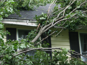 Image of a fallen tree on a home